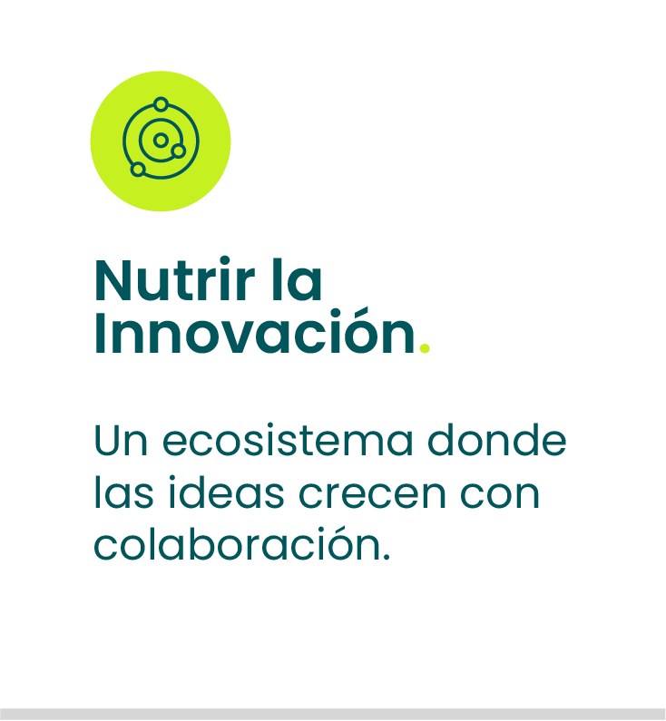 Vivero_Valor_1