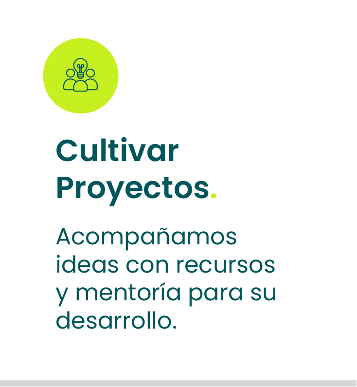 Vivero_Valor_4